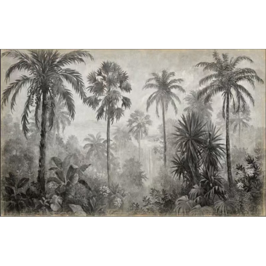 PALMERAL Y CASCADA (200x125m) PALMERAL Y CASCADA (200x125m)